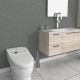 Аксесоар за баня - Поставка с четка за тоалетна чиния сребрист INTERCERAMIC