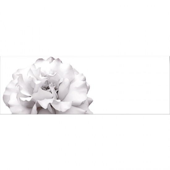25/75 Gardenia Blanco-2